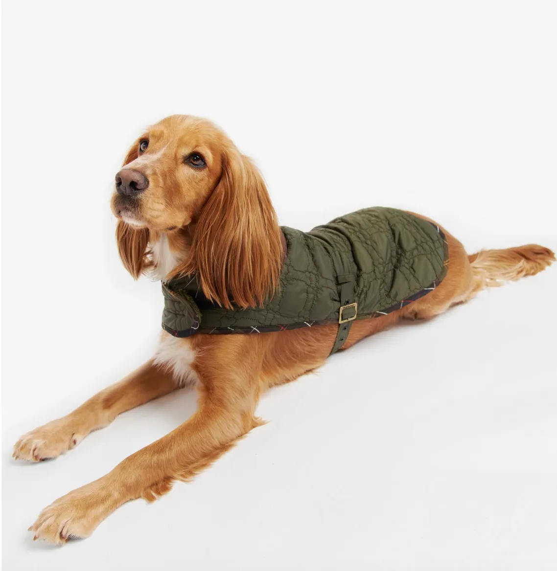 BARBOUR Dog Bone Quilted Dog Coat Dk. Olive