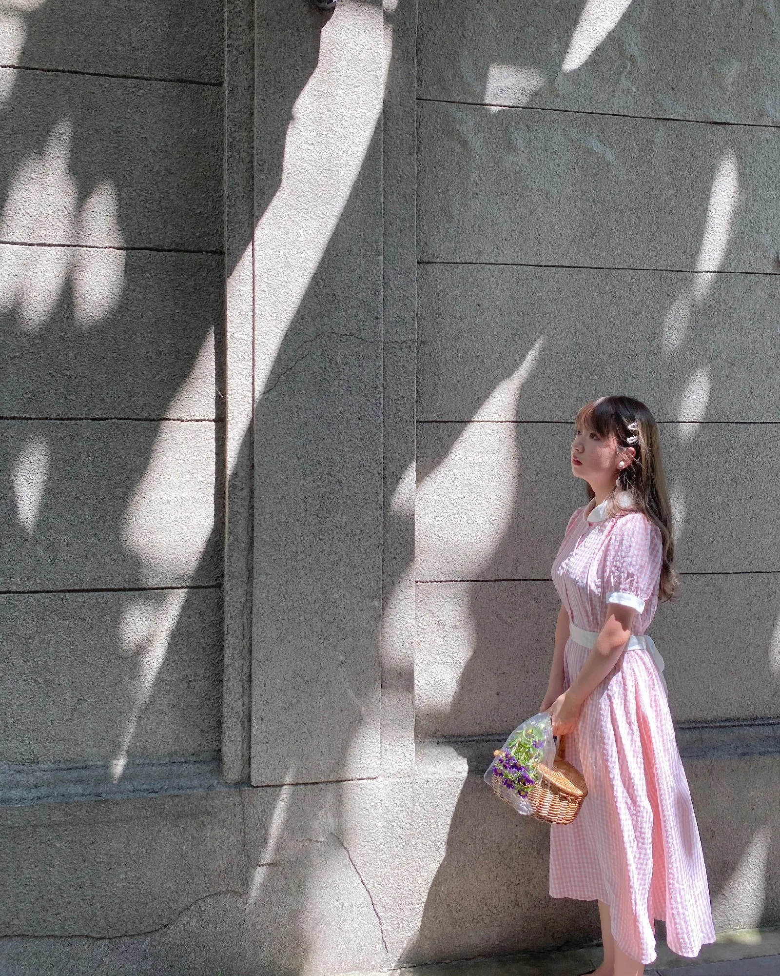 [Premium Selected] Arrived In Dream Land Gingham Dress (designer Rose Candy)