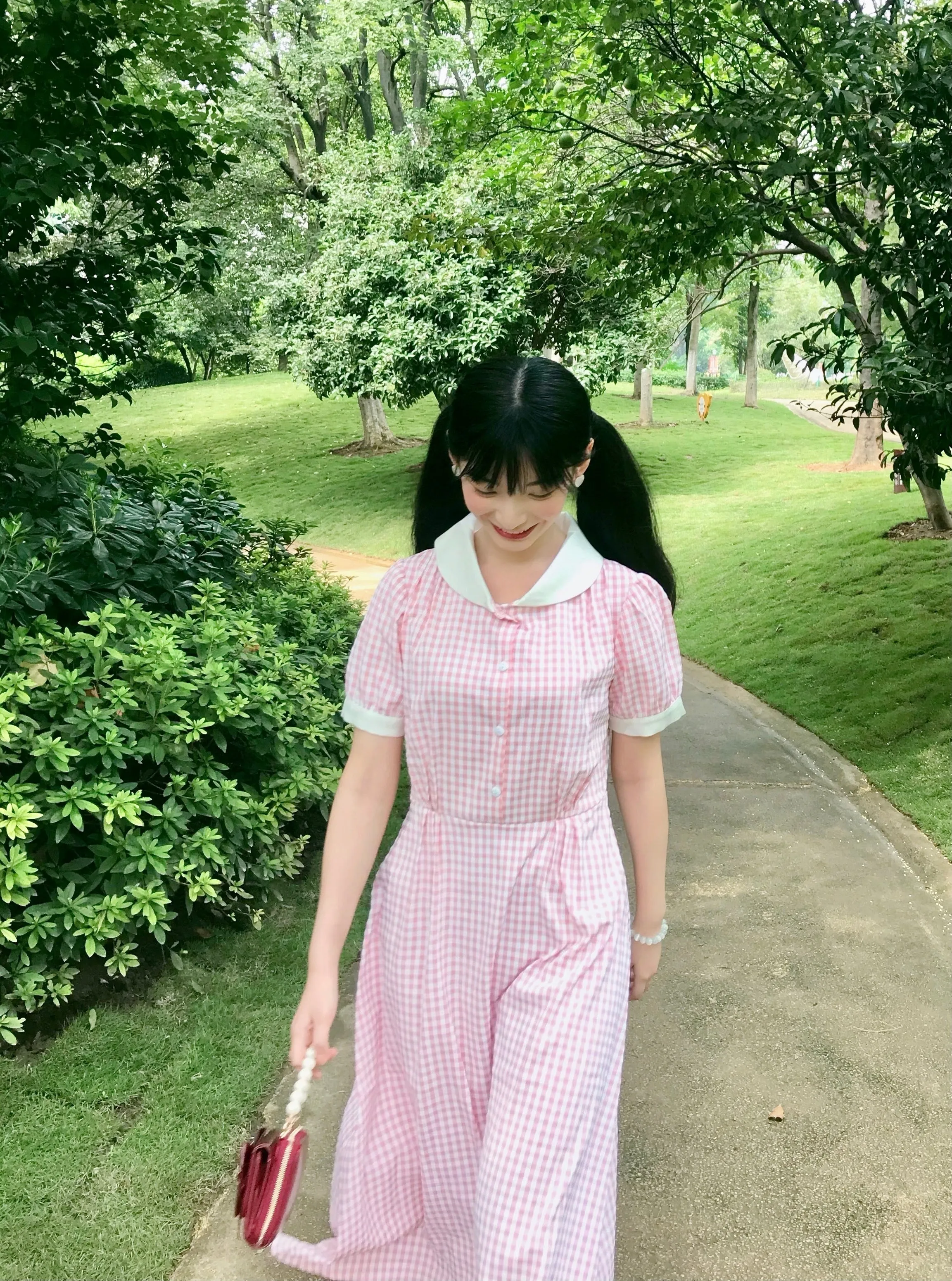 [Premium Selected] Arrived In Dream Land Gingham Dress (designer Rose Candy)