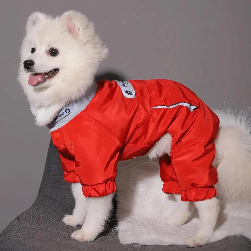 Winter Dog Jacket